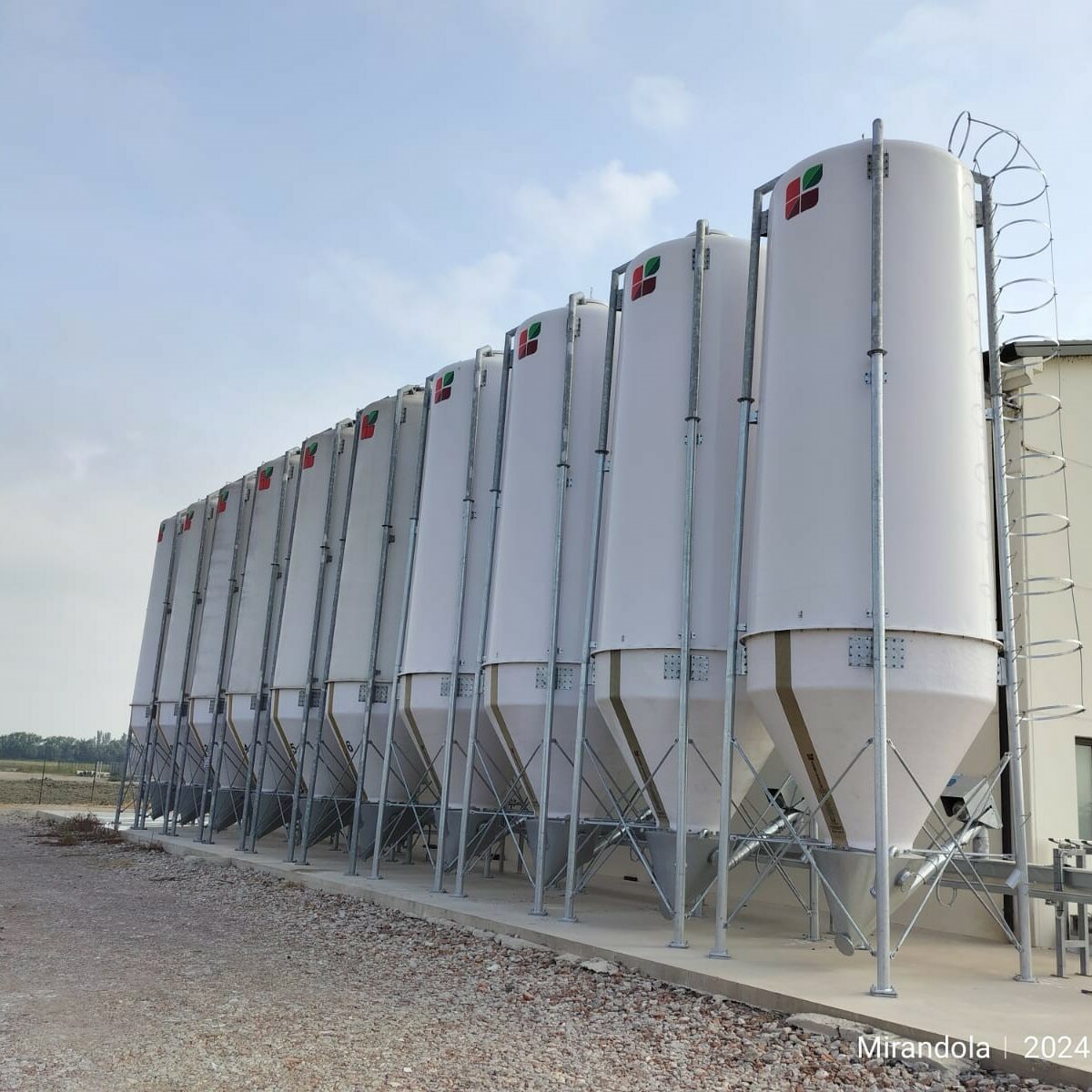 Scelta-Del-Silo-800×800